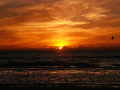 Chelsea beach sunset, 24-Nov-2003 (by Ian Fieggen)