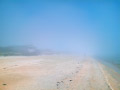 Unusual afternoon sea fog, Chelsea beach, 27-Aug-2014 (by Ian Fieggen)